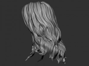 Hair 15 Model do druku 3D