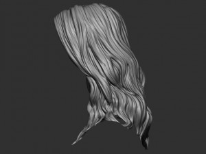 Hair 15 Model do druku 3D