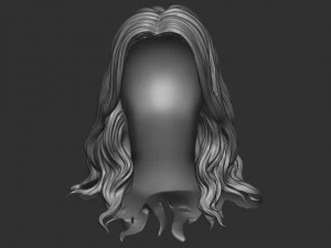 Hair 15 3D Print Model