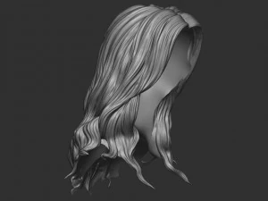 Hair 15 3D Print Model