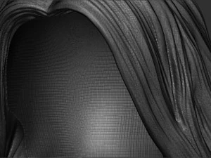 Hair 15 3D Print Model
