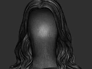 Hair 15 Model do druku 3D