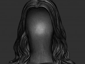 Hair 15 3D Print Model