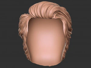 Hair 16 3D Print Model