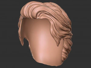 Hair 16 3D Print Model