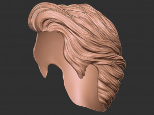 Hair 16 3D 打印模型