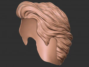 Hair 16 3D Print Model