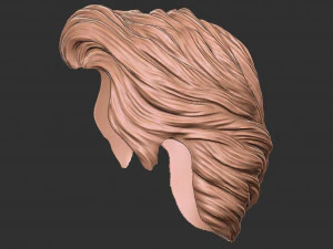Hair 16 3D Print Model