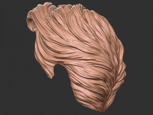 Hair 16 3D 打印模型
