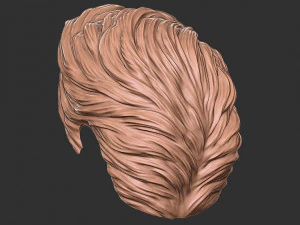 Hair 16 3D Print Model