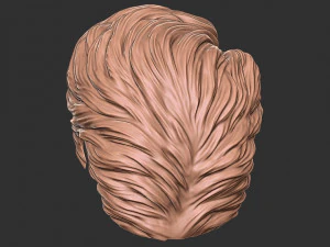 Hair 16 3D Print Model