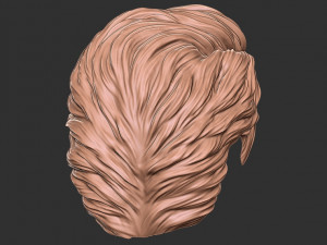 Hair 16 3D 打印模型