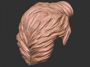 Hair 16 3D 打印模型