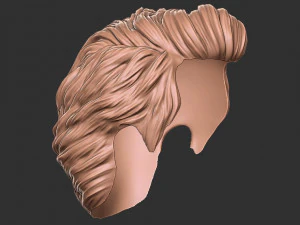 Hair 16 3D Print Model