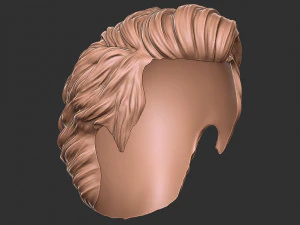 Hair 16 3D Print Model
