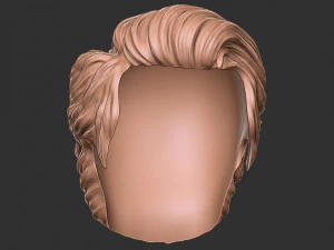 Hair 16 3D Print Model
