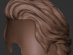 Hair 16 3D 打印模型