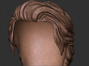 Hair 16 3D Print Model