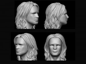 pelo 17 Modelo de impresión 3D