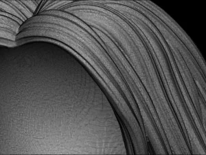 Hair 17 3D Print Model