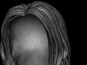 Hair 17 Model Cetak 3D
