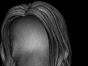 Hair 17 3D Print Model