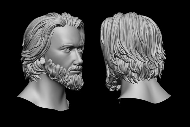 Hair 18 Modello di stampa 3D .c4d .max .obj .3ds .fbx .stl .blend 