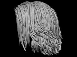 Capelli 18 Modello di stampa 3D