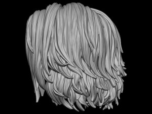 Hair 18 Modello di stampa 3D