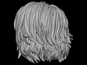 Hair 18 Modello di stampa 3D