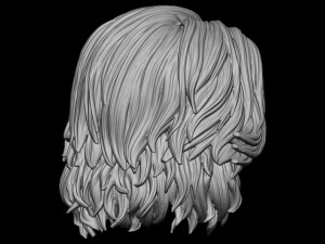 Hair 18 Modello di stampa 3D