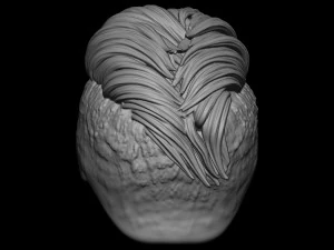 Hair 19 3D Print Model