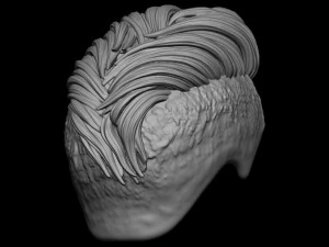 Hair 19 3D Print Model