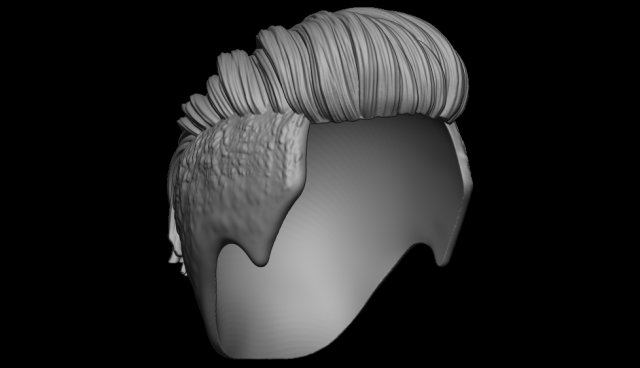 Hair 19 3D Print Model