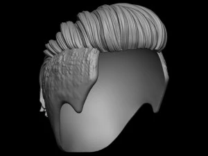 Hair 19 3D Print Model