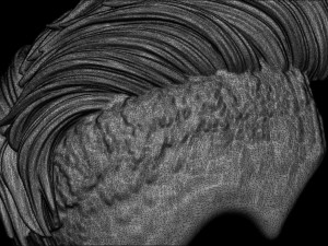 Hair 19 Modelo de impresión 3D