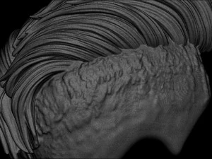 Hair 19 3D Print Model