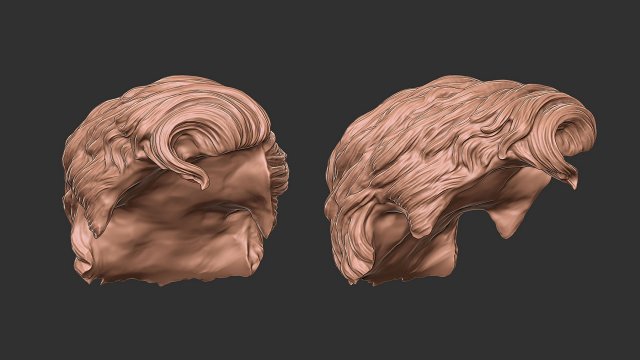 Hair 20 3D 프린트 모델 .c4d .max .obj .3ds .fbx .stl .blend 
