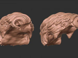 Волосы 20 3D Принт Модель