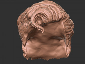 Hair 20 3D 프린트 모델