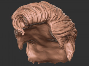 Hair 20 3D 프린트 모델