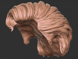 Hair 20 3D 프린트 모델