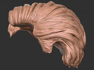 Hair 20 3D 프린트 모델