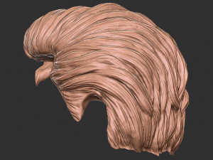 Hair 20 3D 프린트 모델