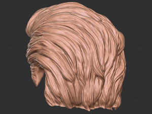 Hair 20 3D 프린트 모델