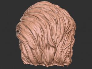 Hair 20 3D 프린트 모델