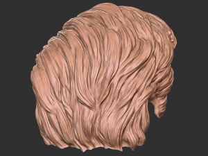 Hair 20 3D 프린트 모델