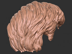 Hair 20 3D 프린트 모델