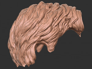 Hair 20 3D 프린트 모델