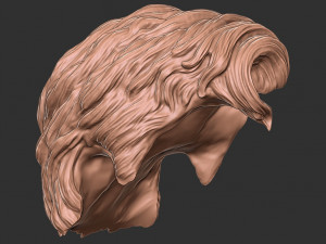 Hair 20 3D 프린트 모델
